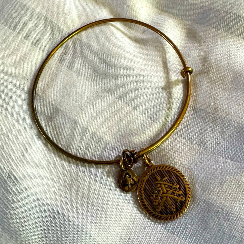 Alex and ani seven swords bangle